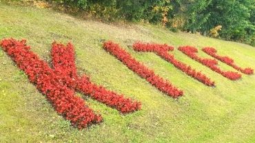 Punaisista kukista nurmikolle muodostettu Kitee-teksti.